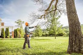  Stearns, KY Tree Care Pros